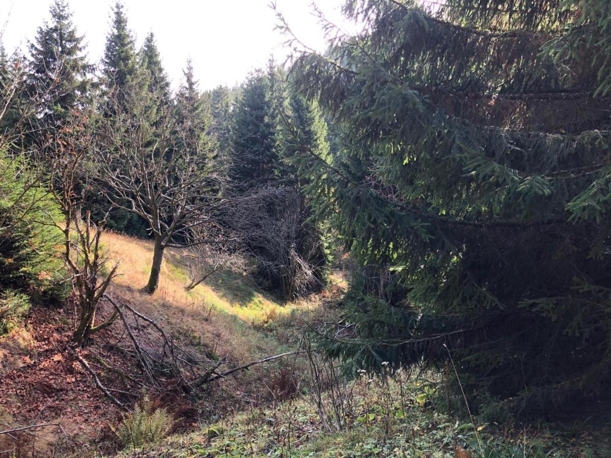 Schaefers Ferienwohnung Oberwiesenthal Buitenkant foto